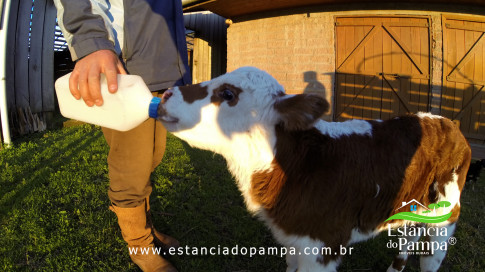 DOS EÓLICOS VIRA P FAZENDA_Moment.00_01_18_11.Quadro374_5e78b33d8ea94de3541dfd8457b17230588e497b.jpg